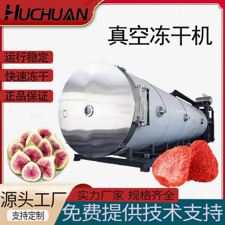 鱼丸冻干机速溶食品真空冷冻干燥机牛肉丸真空冻干机冻干设备