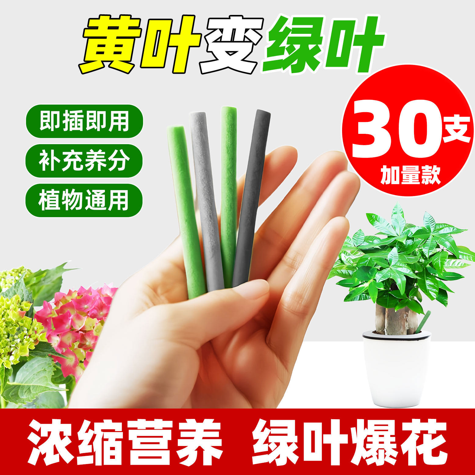 植物营养棒缓释肥花肥家用盆栽绿植通用型养花复合花卉多肉肥料,鲜花速递/花卉仿真/绿植园艺,家庭园艺肥料,淘宝优惠券,粉丝福利购,淘宝优惠卷