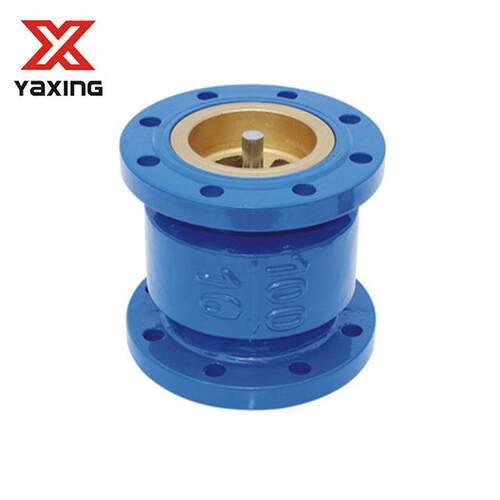 H42X法兰式消声止回阀底阀球墨铸铁快速关闭DN50-DN600