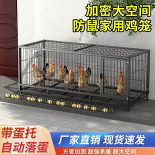 鸡笼子家用室外特大号养殖笼加密芦丁鸡笼养N鸡家禽笼铁丝网鸭鹅