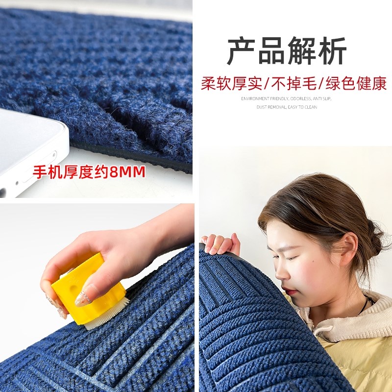 蓝色入户门地垫室外进门耐脏脚垫防滑门垫门口玄关地毯门外高级感