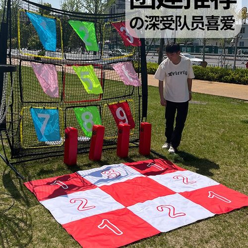飞盘打靶布户外团建投掷掷准目标布公司学校拓展运动游戏亲子道具