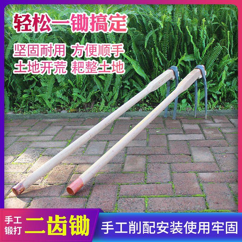 二齿锄家用全钢长把松土 开荒 种菜 多功能二齿锄头神器农用耙子,农机/农具/农膜,锄头,淘宝优惠券,粉丝福利购,淘宝优惠卷