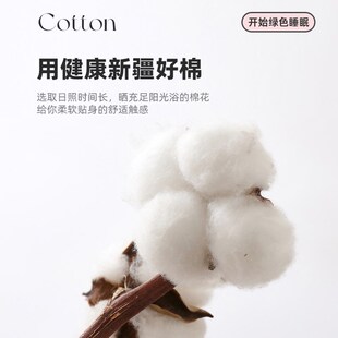 全棉磨毛枕套48cmx74cm一对装 2025新款 可水洗家用枕芯内胆套