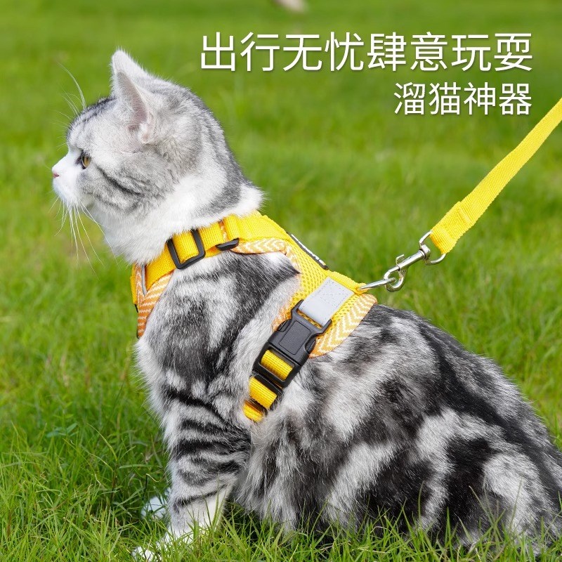 猫咪牵引绳户外遛猫神器猫咪专用夏季透气工字型背心式胸背防挣脱