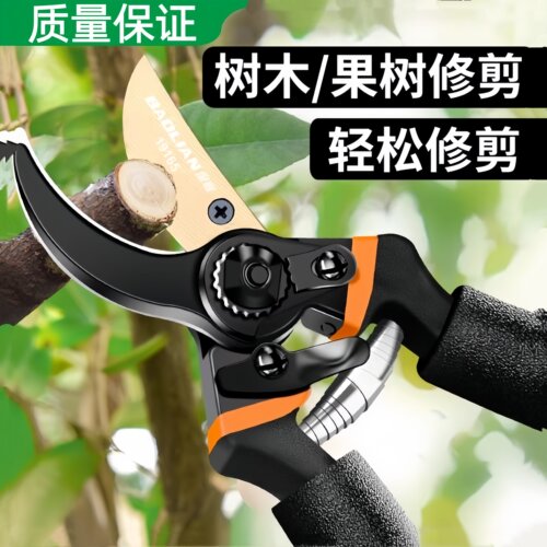 碳钢剪枝剪刀园林花艺修剪树枝剪刀果树剪刀粗大花剪园艺剪子工具