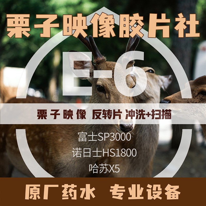 【栗子映像】反转片冲扫正片E6冲洗哈苏X5扫描幻灯片