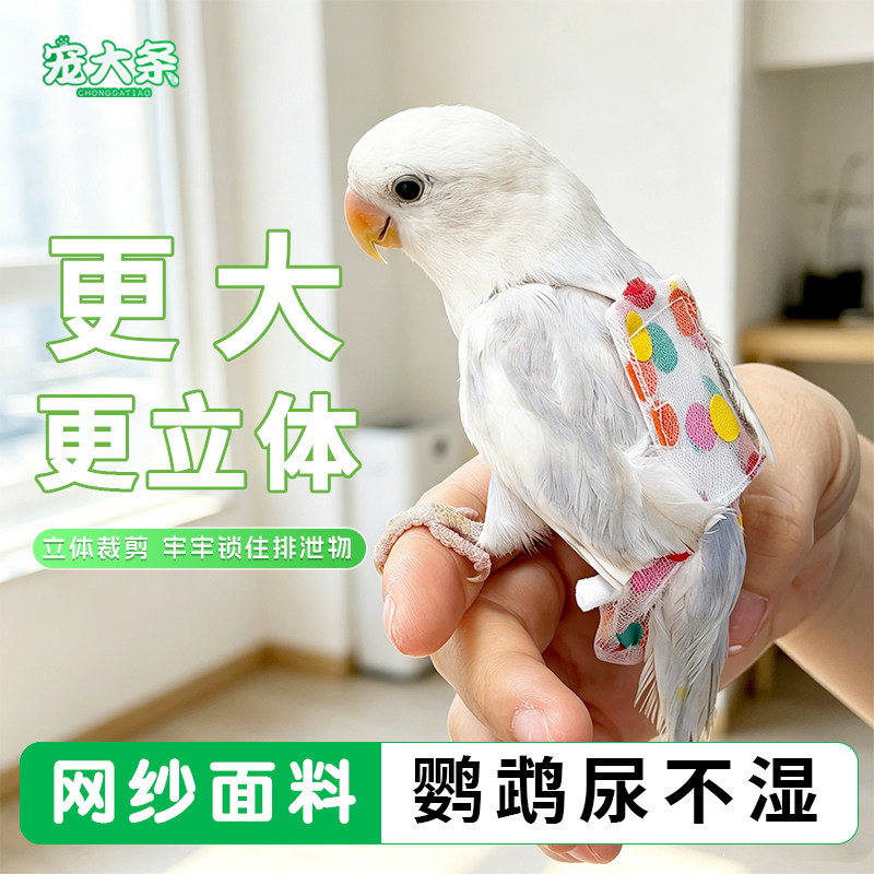【宠大条】鹦鹉网纱尿不湿屎兜透气立体款固定肩带可调节尿裤衣服