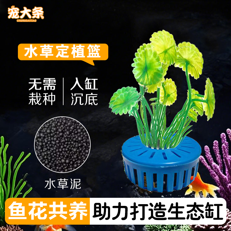 新款水草定植篮鱼缸造景装饰