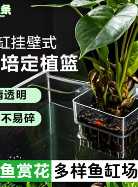 【宠大条】水培植物定植篮挂壁式水草种植杯鱼缸造景装饰绿萝固定