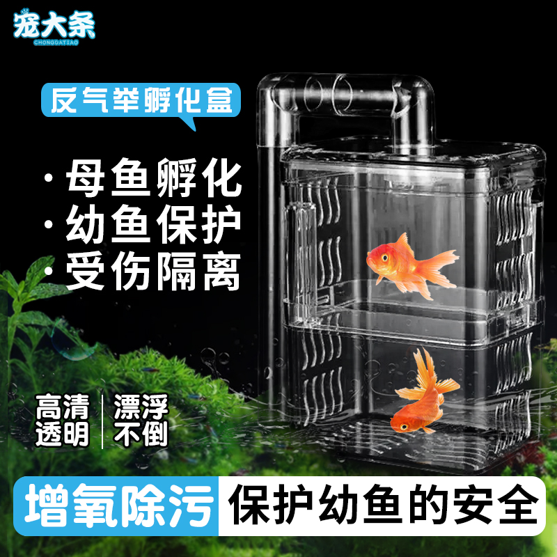 鱼缸孵化盒反气举隔离盒