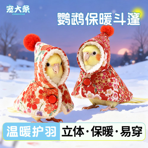 鹦鹉保暖斗篷衣服新年披风