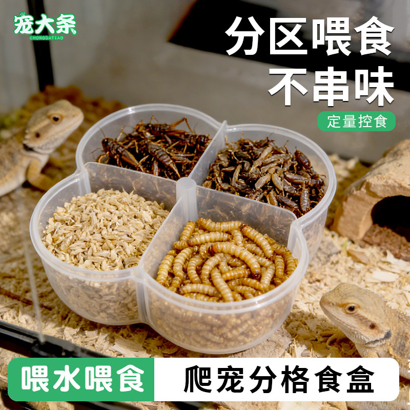 【宠大条】爬宠分格食盒蜥蜴喂水盆守宫喂食盆四合一防撒防溅食碗,宠物/宠物食品及用品,爬宠饮水器/水盆,淘宝优惠券,粉丝福利购,淘宝优惠卷
