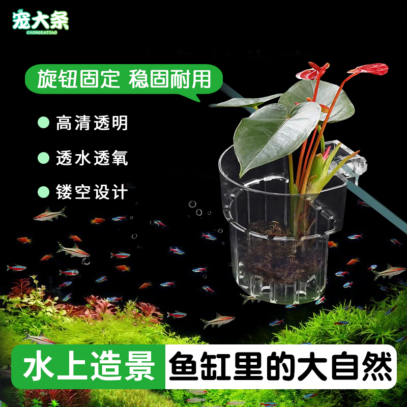 宠大条水培植物定植篮壁挂造景