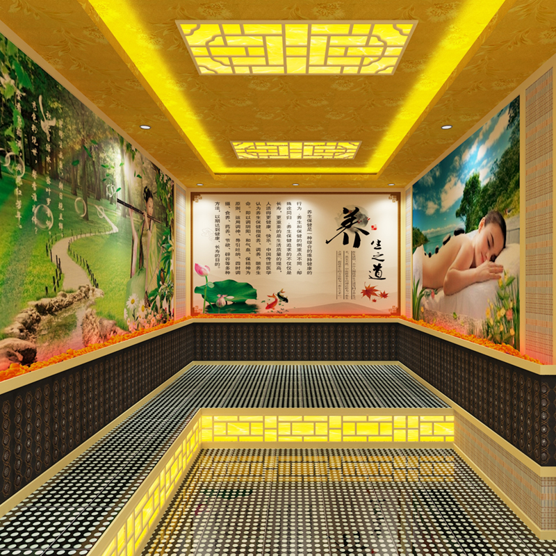 安然纳米汗蒸房电气石装修安装承建盐蒸韩式家庭用能量中药美容院