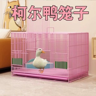 柯尔鸭特大号小黄鸭笼子小鸡大鹅笼自动清粪仓小宠物窝屋室内家用