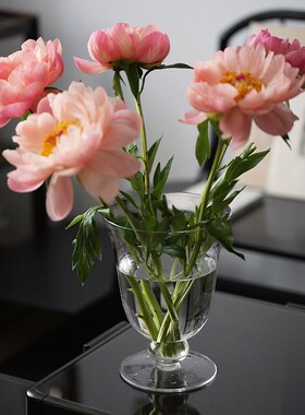 介直 Big Vase高透玻璃大号花瓶 法式中古感鲜切插花透明家居摆件