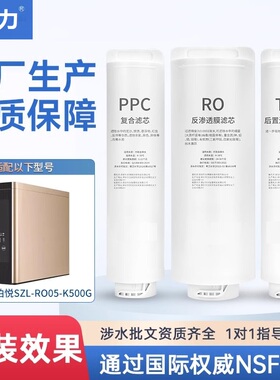 中芯力适用水之丽铂悦净水器滤芯SZL-RO05-K500G纯水机复合滤芯