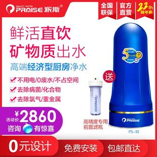 美国派斯净水器PS-10 家用直饮高端厨房直饮水机 进口自来水过滤