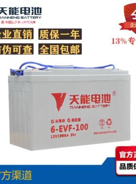 天能6-EVF-100/80 12V100AH80AH电叉车 洗地机 四轮电动汽车电池