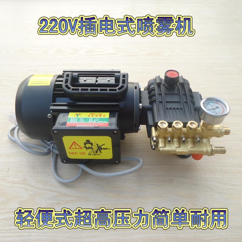220V电动打药机插电式涮洗车机轻便式喷雾消毒机高压喷雾器农用