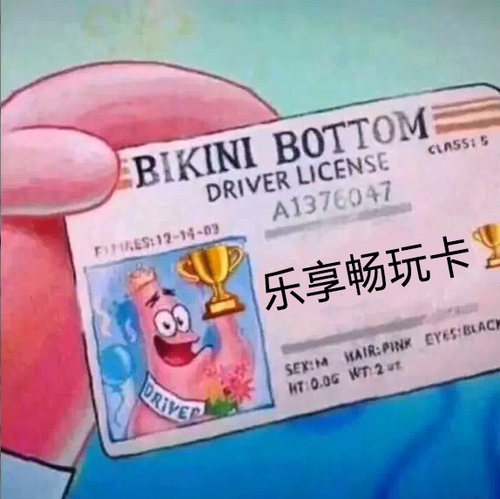 乐享数据卡ReaSnowS1Apex
