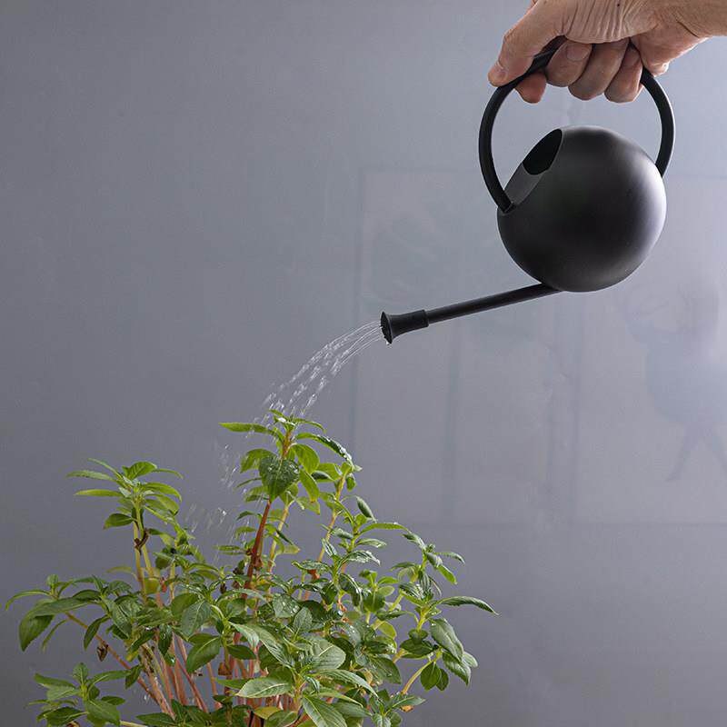 不锈钢浇水壶花洒器迷你小型黑色复古多肉植物盆栽高颜值家用喷壶