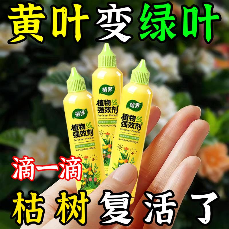 植界植物强效营养液除尘富贵竹专用郁金香水仙花室内盆栽通用肥料