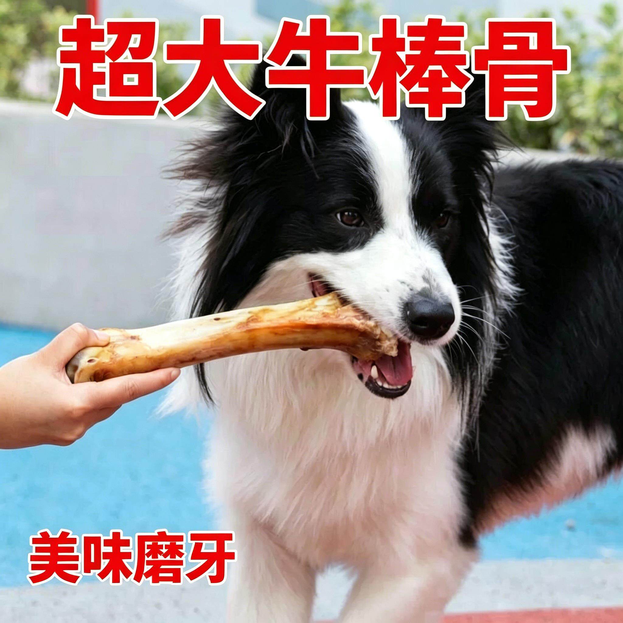 狗狗零食骨头宠物磨牙棒大小型幼犬补钙耐咬洁齿训练奖励牛棒骨c