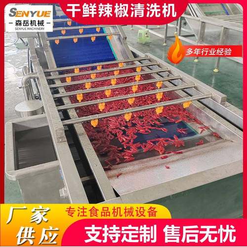 工厂用果蔬气泡清洗机鲜花生去泥沙气泡清洗机竹笋鼓泡翻浪清洗机