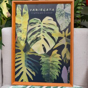 光栅植物画·图克x浇浇 家居装饰画复古挂画热植周边生日礼物