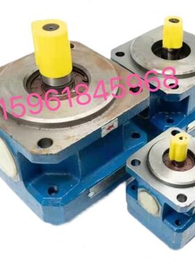 上海机床厂M1432B M1332B齿轮泵 GPA2-10-E-20-R6.3 16 GPA2-16