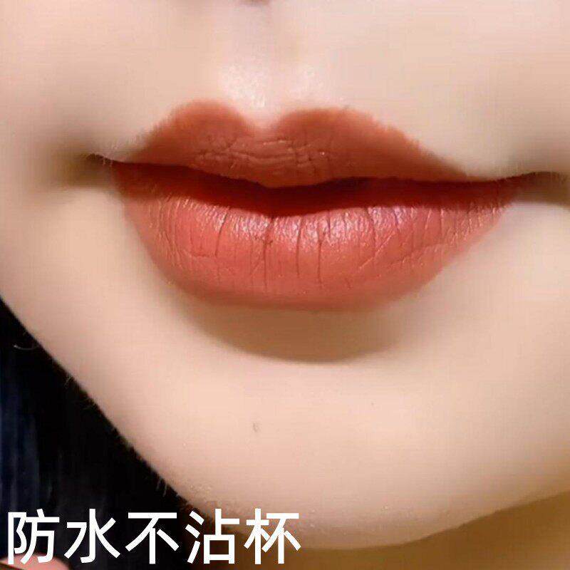 推荐不沾杯不掉掉色豆沙肉桂奶茶色胡萝卜口红雨衣哑光唇釉