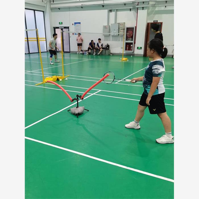 OverlordPick羽毛球通用