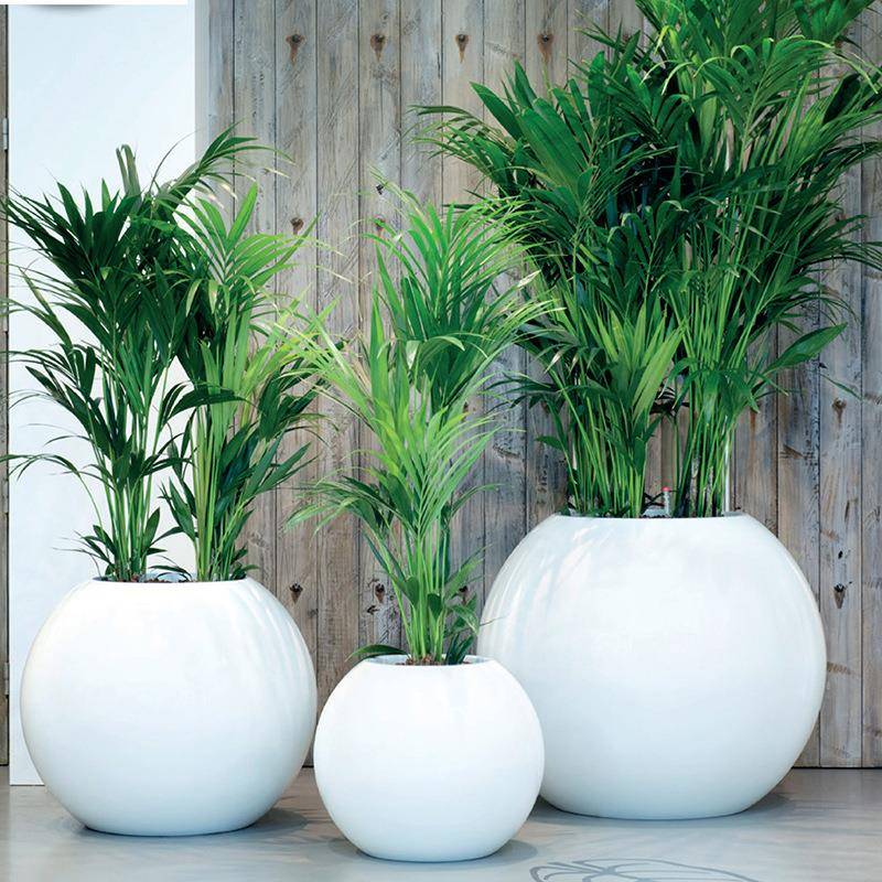 户外圆形玻璃钢花盆大型商业街区广场景观花钵创意绿化花箱厂家