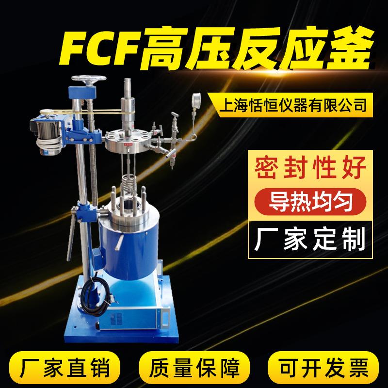 消解罐磁力搅拌小型反应釜电加热高压反应釜FCF型不锈钢反应釜