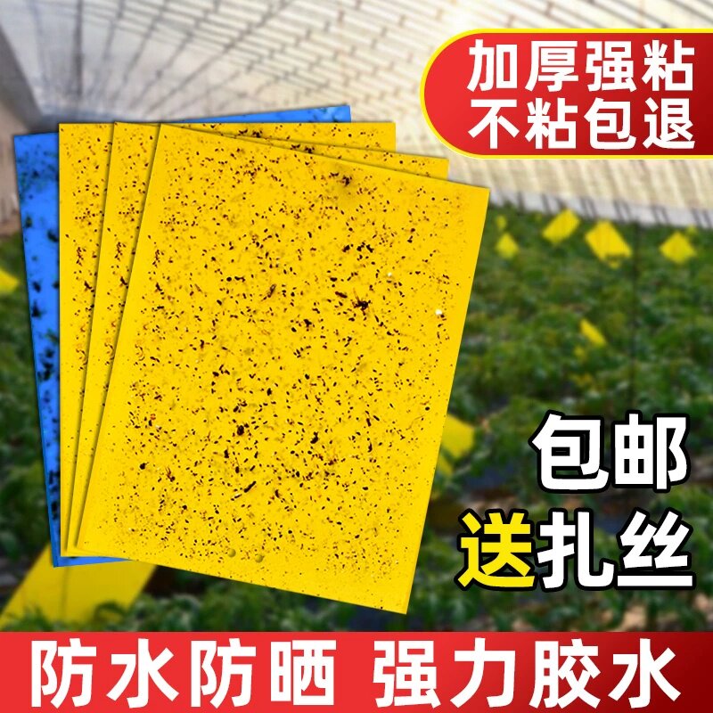 黄板双面粘虫板诱捕果园大棚用