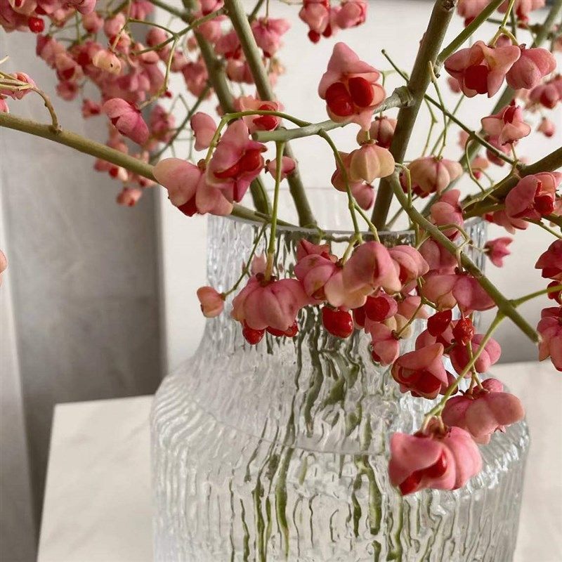 芍药花瓶玻璃摆件客厅插花假花适合放干花的透明小瓶子简约设计感,鲜花速递/花卉仿真/绿植园艺,花材,淘宝优惠券,粉丝福利购,淘宝优惠卷