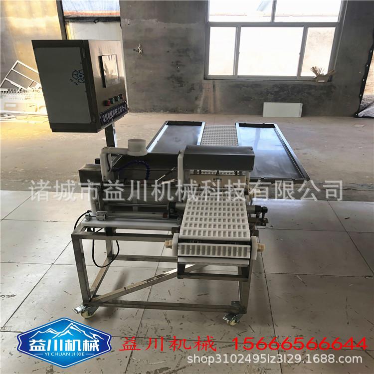 全自动年糕排穿串机厂家直销益川机械高效率手指年糕穿串机