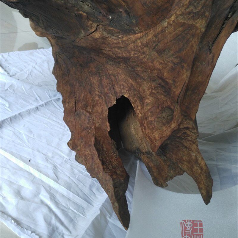 千年阴沉木水沉水木摆件毛料根料根雕树根艺茶台茶座树兜坨坨树头