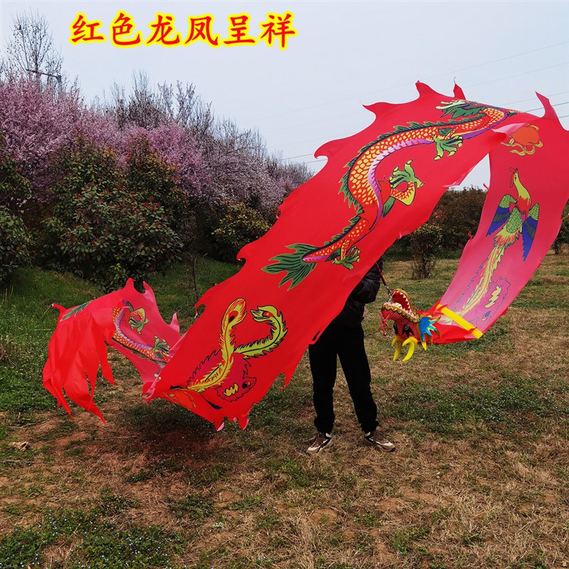 健身彩带龙鞭龙甩龙彩带彩绸印花一体布龙带广场单人手耍龙锻炼龙