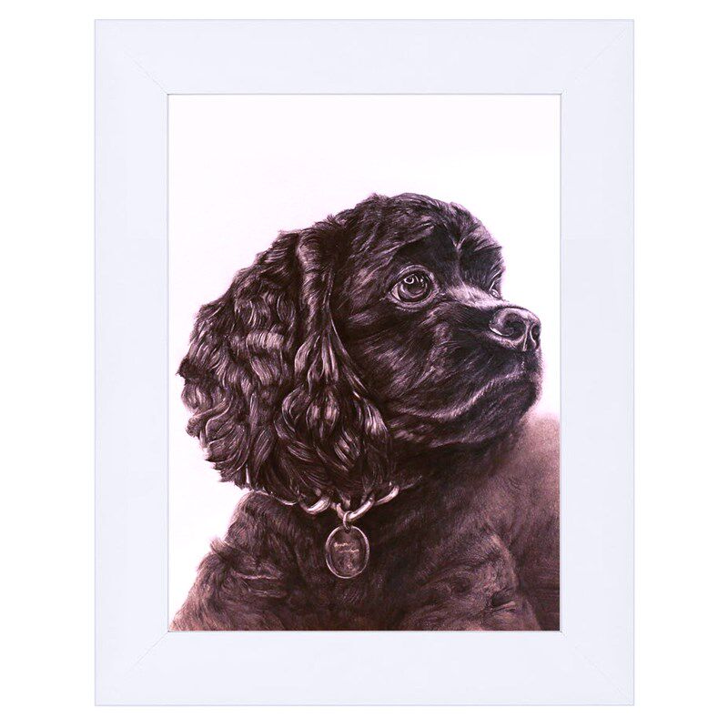 宠物素描彩铅画像定制 手绘猫咪狗狗爱犬动物画 萌宠画画铅笔画