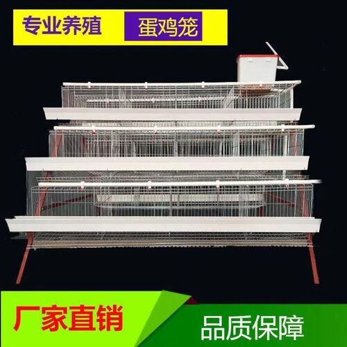 阶梯式蛋鸡单边双边三层自动笼位笼子鸡笼家用加粗养殖场养殖笼具