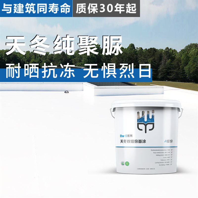 天冬聚脲胶漆涂料防水防晒漆防腐漆水泥彩绘漆耐候墙面漆油漆室外