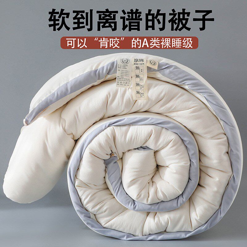 A类原棉大豆纤维被春秋被加厚冬被学生被芯四季Q棉被空调礼品被子