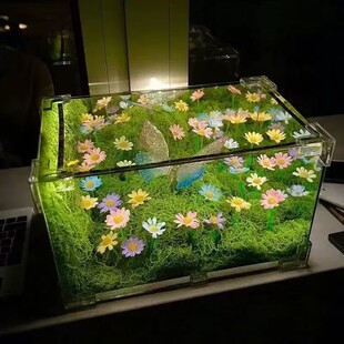 情人节diy材料包绿野仙踪春日蝴蝶魔方小夜灯手工制作送情侣闺蜜