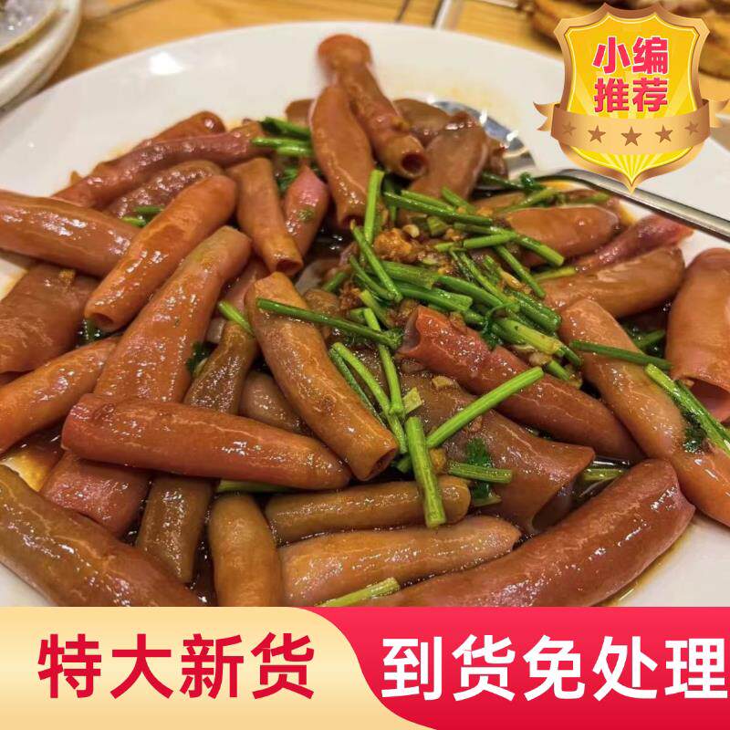 极速海肠大连鲜活速冻海肠