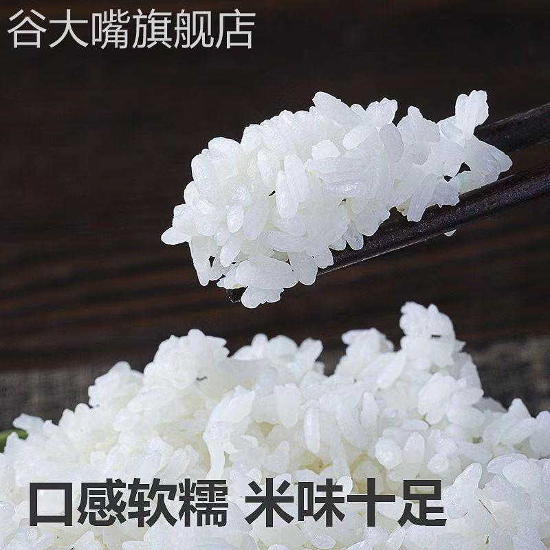 新米东北大米20斤珍珠米圆粒米粳米10斤包邮优质大米5KG原粮现磨