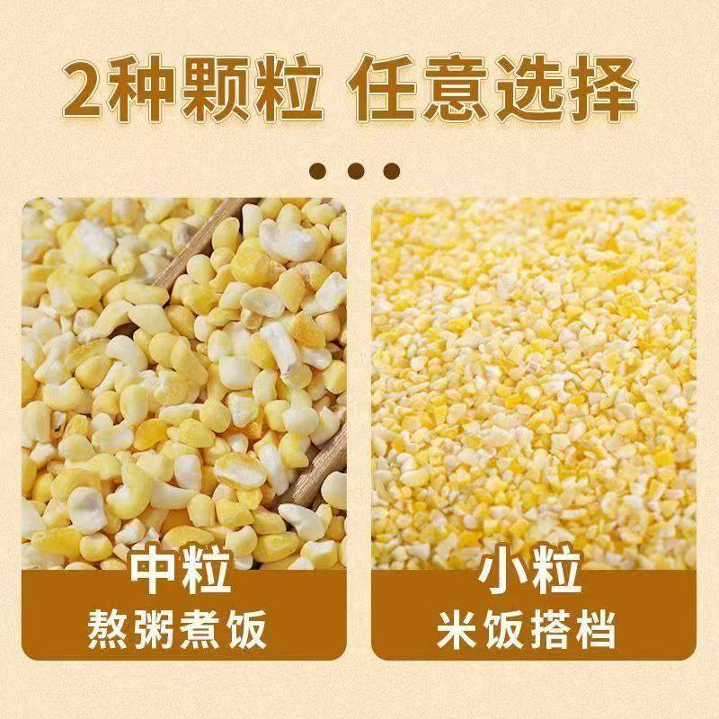 东北香糯玉米碴当季新货米饭伴侣粗粮煮粥香糯小碴子玉米碴粘碴子