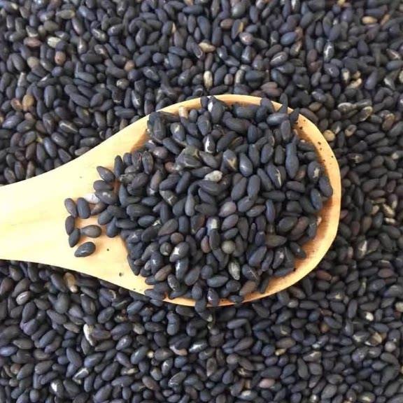 生黑芝麻新货干净无沙免洗芝麻粒新鲜饱满无染色500g*1袋颗粒饱满